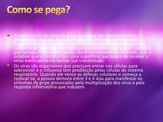 A transmissão do vírus da gripe acontece por via respiratória,
geralmente pela inalação partículas de secreção infectada em
suspensão no ar. Por esse motivo, é importante tomarmos certos
cuidados ao tossir ou espirrar, quando estamos doentes. O contágio
por contato físico direto ainda não foi totalmente esclarecido, mas é
possível que o contato com uma superfície que acaba de receber o
vírus eventualmente facilite sua transmissão.
Os vírus são organismos que precisam entrar nas células para
sobreviver e o influenza tem predileção pelas células do sistema
respiratório. Quando ele vence as defesas celulares e começa a
replicar-se, a pessoa demora entre 3 e 4 dias para manifestar os
sintomas da gripe provocados pela multiplicação dos vírus e pela
resposta inflamatória que induzem.
 