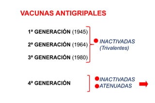 VACUNAS ANTIGRIPALES
1ª GENERACIÓN (1945)
2ª GENERACIÓN (1964)
3ª GENERACIÓN (1980)
4ª GENERACIÓN
INACTIVADAS
(Trivalentes)
INACTIVADAS
ATENUADAS
 