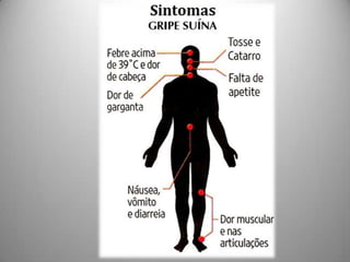 Gripe A (H1N1)