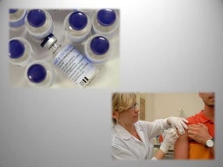 Gripe A (H1N1)