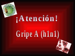 ¡Atención! Gripe A (h1n1) 