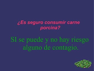 ¿Es seguro consumir carne porcina? SI se puede y no hay riesgo alguno de contagio. 