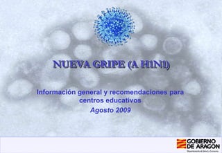 NUEVA GRIPE (A H1N1) Información general y recomendaciones para centros educativos Agosto 2009 