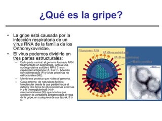 ¿Qué es la gripe?
•   La gripe está causada por la
    infección respiratoria de un
    virus RNA de la familia de los
    Orthomyxoviridae.
•   El virus podemos dividirlo en
    tres partes estructurales:
     –   En la parte central: el genoma formado ARN
         fragmentado en segmentos, junto a una
         nucleoproteína soluble ( NP ó S) con
         capacidad antigénica (A, B ó C). Además
         hay polimerasas (P) y unas proteínas no
         estructurales (NE).
     –   Membrana proteica que rodea al genoma.
     –   Capa externa: de naturaleza lipídica
         bimolecular desde la que parten hacia el
         exterior dos tipos de glucoproteínas externas
         H y N (hemaglutininas (H) y
         neuroaminidasas (N)) que son las que
         confieren la verdadera antigenicidad al virus
         de la gripe, en cualquiera de sus tipo A, B ó
         C.
 