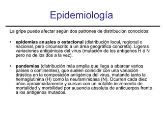 Epidemiología
La gripe puede afectar según dos patrones de distribución conocidos:

•   epidemias anuales o estacional (distribución local, regional o
    nacional, pero circunscrito a un área geográfica concreta). Ligeras
    variaciones antigénicas del virus (mutación de los antígenos H ó N
    pero no de los dos a la vez).

•   pandemias (distribución más amplia que llega a abarcar varios
    países o continentes), que suelen coincidir con una variación
    drástica en la composición antigénica del virus, mutando tanto la
    hemaglutinina (H) como la neuraminidasa (N). Ocurren cada diez
    años aproximadamente y cursan con un notable incremento de
    mortalidad y morbilidad por ausencia absoluta de anticuerpos frente
    a los antígenos mutados.
 