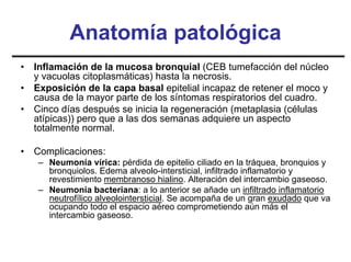 Anatomía patológica
•   Inflamación de la mucosa bronquial (CEB tumefacción del núcleo
    y vacuolas citoplasmáticas) hasta la necrosis.
•   Exposición de la capa basal epitelial incapaz de retener el moco y
    causa de la mayor parte de los síntomas respiratorios del cuadro.
•   Cinco días después se inicia la regeneración (metaplasia (células
    atípicas)) pero que a las dos semanas adquiere un aspecto
    totalmente normal.

•   Complicaciones:
    – Neumonía vírica: pérdida de epitelio ciliado en la tráquea, bronquios y
      bronquiolos. Edema alveolo-intersticial, infiltrado inflamatorio y
      revestimiento membranoso hialino. Alteración del intercambio gaseoso.
    – Neumonía bacteriana: a lo anterior se añade un infiltrado inflamatorio
      neutrofílico alveolointersticial. Se acompaña de un gran exudado que va
      ocupando todo el espacio aéreo comprometiendo aún más el
      intercambio gaseoso.
 