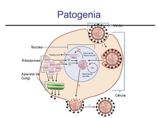 Patogenia
 