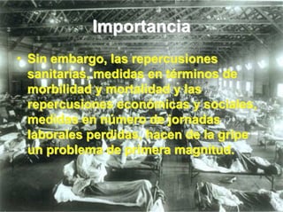Importancia
• Sin embargo, las repercusiones
  sanitarias, medidas en términos de
  morbilidad y mortalidad y las
  repercusiones económicas y sociales,
  medidas en número de jornadas
  laborales perdidas, hacen de la gripe
  un problema de primera magnitud.
 