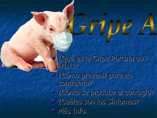 ¿Qué es la Gripe Porcina o A-H1N1? ¿Cómo prevenir para no contraerla? ¿Cómo se produce el contagio? ¿Cuáles son los Síntomas? Más Info. Gripe A 