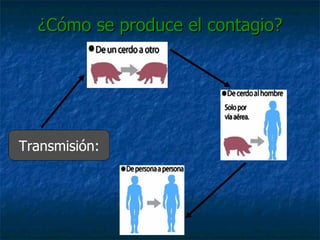 ¿Cómo se produce el contagio? Transmisión: 