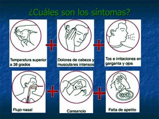 ¿Cuáles son los síntomas? 