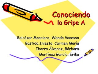 Conociendo
                     la Gripe A

Balcázar Mosciaro, Wanda Vanessa
    Bastida Iniesta, Carmen María
          Iborra Álvarez, Bárbara
           Martínez García, Erika
 
