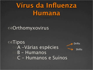 Vírus da Inﬂuenza
        Humana

Orthomyxovirus


Tipos                   Drifts
 A –Várias espécies       Shifts
 B ...