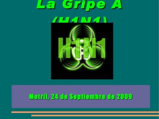 La Gripe A (H1N1) Motril, 24 de Septiembre de 2009 