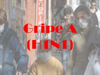 Gripe A
(H1N1)
 