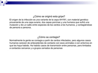 ¿Cómo se originó esta gripe? El origen de la infección es una variante de la cepa AH1N1, con material genético proveniente de una cepa aviaria, dos cepas porcinas y una humana que sufrió una mutación y dio un salto entre especies de los cerdos a los humanos, y contagiándose de persona a persona.  ¿Cómo se contagia?  Normalmente la gente se contagia a partir de cerdos infectados, pero algunos casos humanos carecen de antecedentes de contacto con esos animales o con entornos en que los haya habido. Ha habido casos de transmisión entre personas, pero limitados a contactos cercanos y a grupos cerrados de personas  
