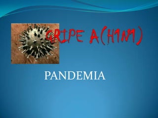 GRIPE A(H1N1) PANDEMIA 