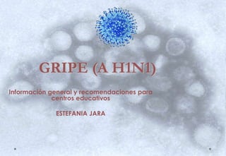 GRIPE (A H1N1)
Información general y recomendaciones para
centros educativos
ESTEFANIA JARA
 