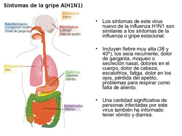 Resultado de imagen para Síntomas y efectos AH1N1