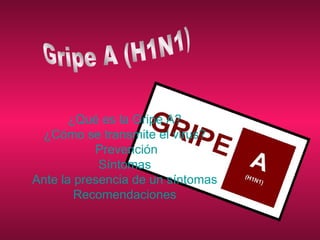 ¿Qué es la Gripe A? ¿Cómo se transmite el virus? Prevención Síntomas Ante la presencia de un síntomas Recomendaciones Gripe A (H1N1) 
