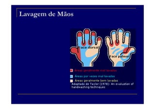 Lavagem de Mãos
 