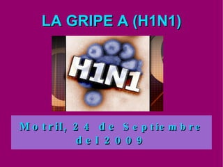 LA GRIPE A (H1N1) Motril, 24 de  Septiembre  del 2009 