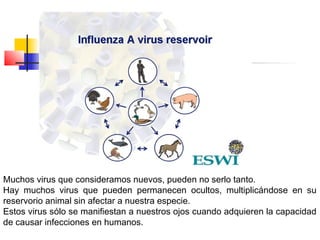 Muchos virus que consideramos nuevos, pueden no serlo tanto.
Hay muchos virus que pueden permanecen ocultos, multiplicándo...