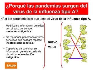 ¿Porqué las pandemias surgen del
     virus de la influenza tipo A?
•Por las características que tiene el virus de la influenza tipo A.

 – Modifica su información genética
   con el paso del tiempo:
   mutación antigénica.

 – Se reproduce generando errores
   genéticos que no logra reparar:
   inestabilidad genética.            NUEVO
                                      VIRUS
 – Capacidad de combinar su
   información genética con la de
   otro virus: reasociación
   antigénica.
 