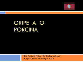 GRIPE  A  O  PORCINA Dra. Adriana Falco - Dr. Guillermo Lemir  Hospital Señor del Milagro  Salta 