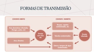 FORMAS DE TRANSMISSÃO
 