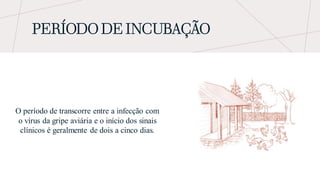 PERÍODO DE INCUBAÇÃO
O período de transcorre entre a infecção com
o vírus da gripe aviária e o início dos sinais
clínicos é geralmente de dois a cinco dias.
 