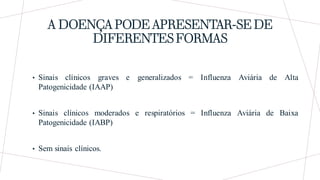 A DOENÇA PODE APRESENTAR-SE DE
DIFERENTES FORMAS
• Sinais clínicos graves e generalizados = Influenza Aviária de Alta
Patogenicidade (IAAP)
• Sinais clínicos moderados e respiratórios = Influenza Aviária de Baixa
Patogenicidade (IABP)
• Sem sinais clínicos.
 