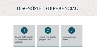 DIAGNÓSTICO DIFERENCIAL
Doença de Newcastle
do tipo velogênico ou
virulento;
1
Enterite viral do pato
(praga do pato);
2
Envenenamentos
agudos;
3
 