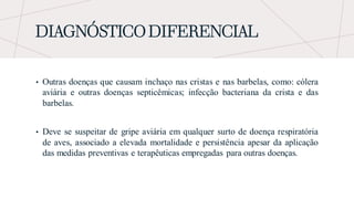 DIAGNÓSTICO DIFERENCIAL
• Outras doenças que causam inchaço nas cristas e nas barbelas, como: cólera
aviária e outras doenças septicêmicas; infecção bacteriana da crista e das
barbelas.
• Deve se suspeitar de gripe aviária em qualquer surto de doença respiratória
de aves, associado a elevada mortalidade e persistência apesar da aplicação
das medidas preventivas e terapêuticas empregadas para outras doenças.
 