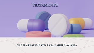 TRATAMENTO
NÃO H Á TRATAM EN TO PARA A GRIPE AVIÁR IA
 