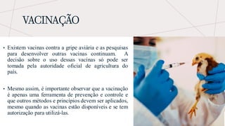VACINAÇÃO
• Existem vacinas contra a gripe aviária e as pesquisas
para desenvolver outras vacinas continuam. A
decisão sobre o uso dessas vacinas só pode ser
tomada pela autoridade oficial de agricultura do
país.
• Mesmo assim, é importante observar que a vacinação
é apenas uma ferramenta de prevenção e controle e
que outros métodos e princípios devem ser aplicados,
mesmo quando as vacinas estão disponíveis e se tem
autorização para utilizá-las.
 