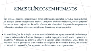 SINAIS CLÍNICOS EM HUMANOS
• Em geral, os pacientes apresentaram como sintomas iniciais febre elevada e manifestações
de infecção em trato respiratório inferior. Uma parte apresentou rinorréia, dor de garganta
e casos raros de conjuntivite. Diarréia, vômitos, dor abdominal, dor pleural e sangramento
pelo nariz e gengivas ocorreram no início da doença, em alguns pacientes
• As manifestações de infecção do trato respiratório inferior aparecem no início da doença
com dispnéia (mediana de cinco dias após o início), taquipnéia, insuficiência respiratória e
estertores. A produção de escarro é variável e algumas vezes com sangue. Quase todos os
pacientes tinham pneumonia com achados radiológicos de infiltrados difusos, multifocais
ou intersticial e consolidações segmentares e lobares com broncograma aéreo.
 