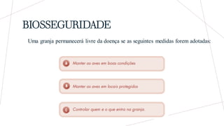 BIOSSEGURIDADE
Uma granja permanecerá livre da doença se as seguintes medidas forem adotadas:
 