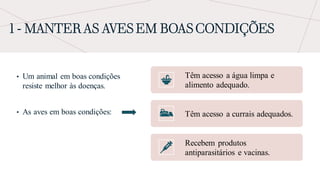 1 - MANTER AS AVES EM BOAS CONDIÇÕES
• Um animal em boas condições
resiste melhor às doenças.
• As aves em boas condições:
Têm acesso a água limpa e
alimento adequado.
Têm acesso a currais adequados.
Recebem produtos
antiparasitários e vacinas.
 