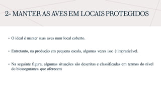 2- MANTER AS AVES EM LOCAIS PROTEGIDOS
• O ideal é manter suas aves num local coberto.
• Entretanto, na produção em pequena escala, algumas vezes isso é impraticável.
• Na seguinte figura, algumas situações são descritas e classificadas em termos do nível
do biossegurança que oferecem
 