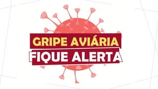 Gripe Aviária 