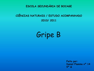 Gripe B
Feito por:
Daniel Flamino nº 14
9º G
ESCOLA SECUNDÁRIA DE BOCAGE
CIÊNCIAS NATURAIS / ESTUDO ACOMPANHADO
2010/ 2011
 