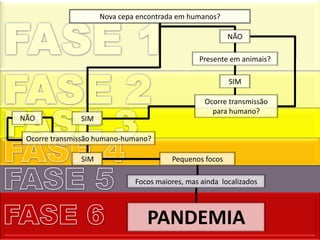 Nova cepa encontrada em humanos?
SIM
NÃO
Presente em animais?
SIM
Ocorre transmissão humano-humano?
SIM
NÃO
Ocorre transmissão
para humano?
Pequenos focos
Focos maiores, mas ainda localizados
PANDEMIA
 