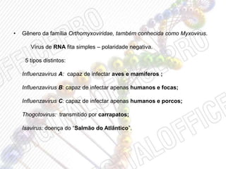 • Gênero da família Orthomyxoviridae, também conhecida como Myxovirus.
Vírus de RNA fita simples – polaridade negativa.
5 tipos distintos:
Influenzavirus A: capaz de infectar aves e mamíferos ;
Influenzavirus B: capaz de infectar apenas humanos e focas;
Influenzavirus C: capaz de infectar apenas humanos e porcos;
Thogotovirus: transmitido por carrapatos;
Isavirus: doença do “Salmão do Atlântico”.
 