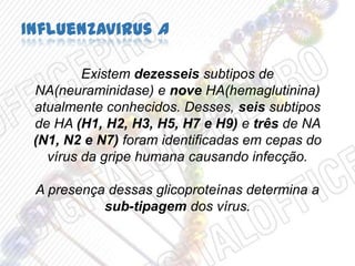 Influenzavirus A
Existem dezesseis subtipos de
NA(neuraminidase) e nove HA(hemaglutinina)
atualmente conhecidos. Desses, seis subtipos
de HA (H1, H2, H3, H5, H7 e H9) e três de NA
(N1, N2 e N7) foram identificadas em cepas do
vírus da gripe humana causando infecção.
A presença dessas glicoproteínas determina a
sub-tipagem dos vírus.
 