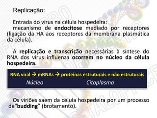 Replicação:
Entrada do vírus na célula hospedeira:
mecanismo de endocitose mediado por receptores
(ligação da HA aos receptores da membrana plasmática
da célula).
A replicação e transcrição necessárias à síntese do
RNA dos vírus influenza ocorrem no núcleo da célula
hospedeira.
RNA viral  mRNAs  proteínas estruturais e não estruturais
Núcleo Citoplasma
Os viriões saem da célula hospedeira por um processo
de"budding” (brotamento).
 