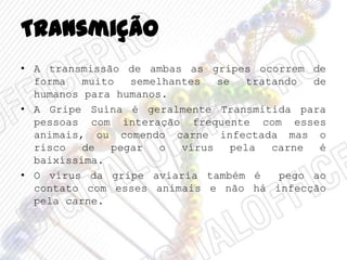 Transmição
• A transmissão de ambas as gripes ocorrem de
forma muito semelhantes se tratando de
humanos para humanos.
• A Gripe Suína é geralmente Transmitida para
pessoas com interação frequente com esses
animais, ou comendo carne infectada mas o
risco de pegar o vírus pela carne é
baixíssima.
• O vírus da gripe aviaria também é pego ao
contato com esses animais e não há infecção
pela carne.
 