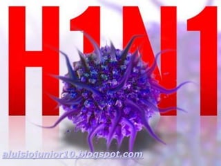 aluisiojunior10.blogspot.com
 