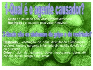 Resfriado : obstrução do nariz dificultando a respiração, espirros, tosse e garganta inflamada diminuição do olfato e da gustação. Gripe : dor de garganta, dores musculares, dores de cabeça, tosse, fadiga e mal estar. Gripe : é causado pelo vírus Orthomyxoviridae. Resfriado : é causado pelo vírus Rinovirus. 1-Qual é o agente causador? 2-Quais são os sintomas da gripe e do resfriado?