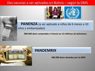 1. Campañas de Vacunación contra la Gripe A H1N1.